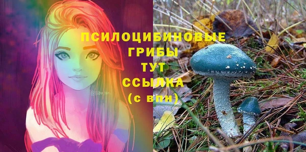 ГАЛЛЮЦИНОГЕННЫЕ ГРИБЫ Кукмор