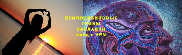 гидропоника Лагань