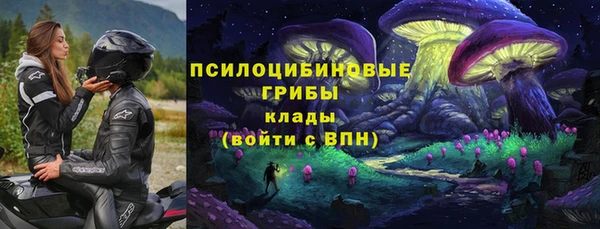 мяу мяу мука Лабытнанги
