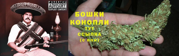 гидропоника Лагань