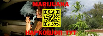 гидра Бузулук
