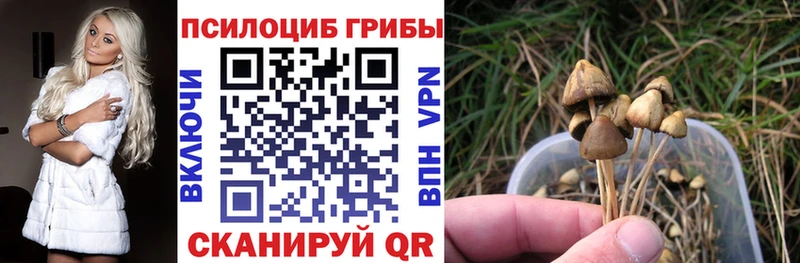Псилоцибиновые грибы мицелий  Михайловка 