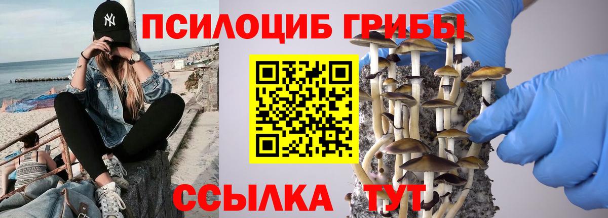 Галлюциногенные грибы GOLDEN TEACHER Михайловка