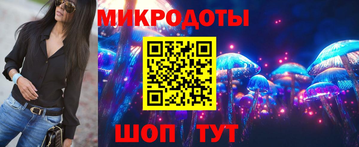 где купить наркоту  Галлюциногенные грибы MAGIC MUSHROOMS  Вход с VPN  Михайловка 